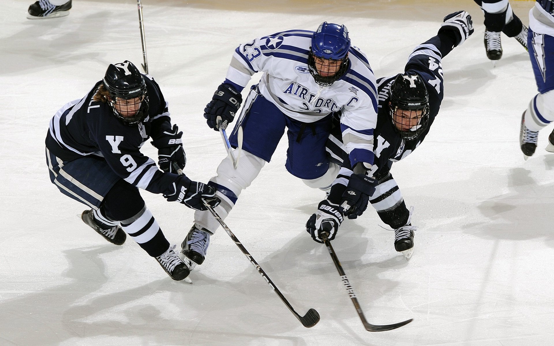 “球迷投稿:最感动的篮球瞬间大盘点”,篮球感人视频